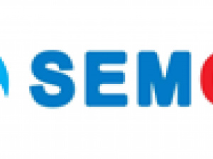Semon Valve Fittings and Automation logo