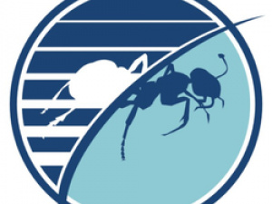 Budget Pest Control, Inc.
