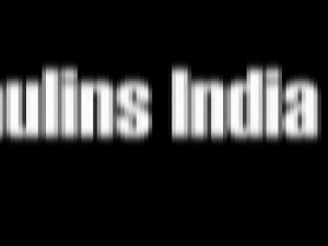 Tarpaulins India Tarp (P) Ltd.