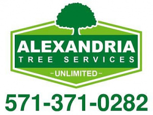 Alexandria Tree Services Unlimited