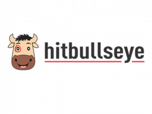 Bulls Eye, Chandigarh logo