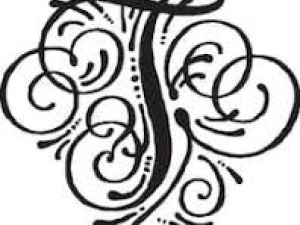 Taylor Emani Pamela logo