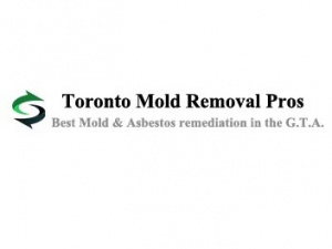 Toronto Mold Asbestos Removal Pros