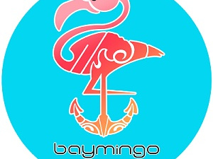Baymingo - Boat rental services