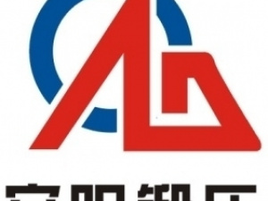 Anyang Forging Press(Group)Machinery Industry Co.,LTD