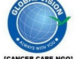 Global Vision NGO logo