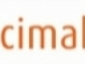 DECIMAL POINT logo