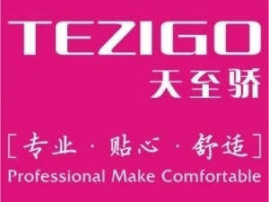 Tezigo Clothing Group Co.,Ltd. logo