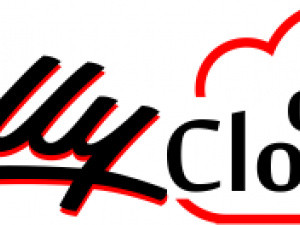 Tally On Cloud