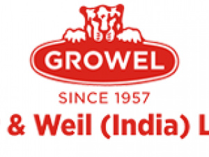 Growels101 Mall