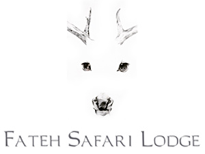 Fateh Safari Lodge
