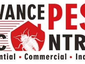 Advance Pest Control Vancouver