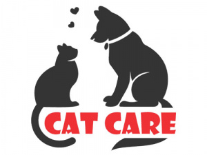 Cat Care