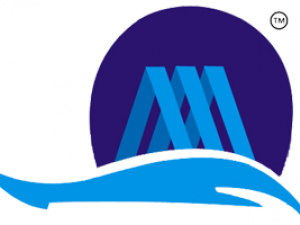 Magna Opus Software - Digital Marketing 