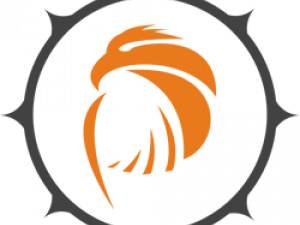 Pattronize InfoTech logo