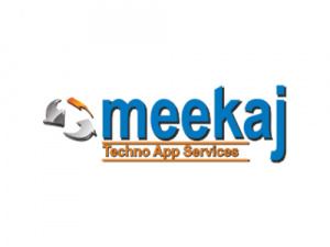 Meekaj Vacuum Systems Pvt Ltd.