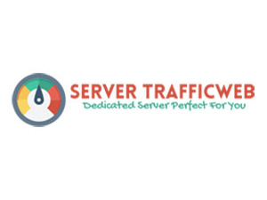 Server Traffiweb