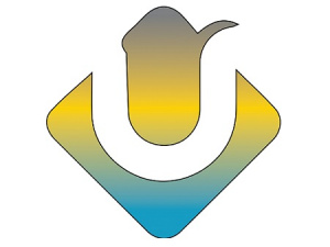 Ultimate Web Designs Limited