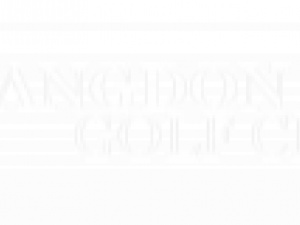 Langdon Sports Bar logo