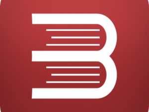 Bookhungama logo