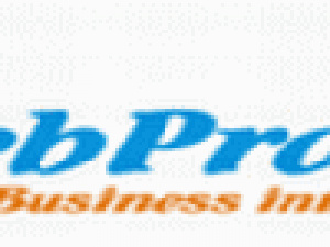 WebProfits Solutions logo