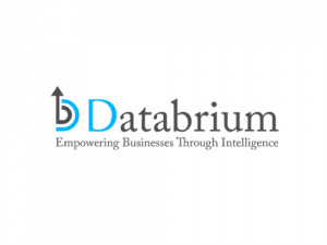 Databrium logo
