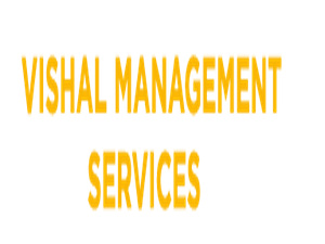 Vishal Management Services