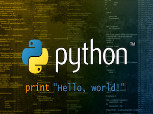 Python Developer logo