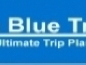 True Blue Travel logo
