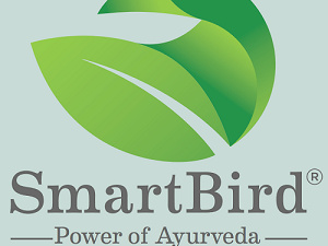 SmartBird