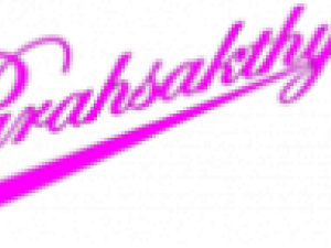 PARAHSAKTHY POWER TECHNOLOGIES PRIVATE LIMITED logo