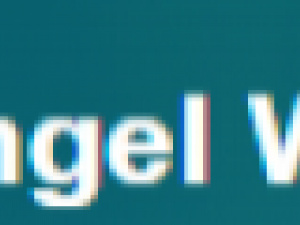 Angel Wealth logo