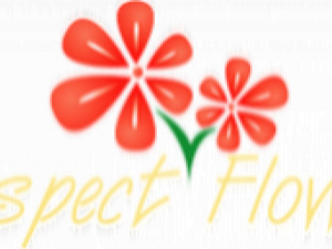Prospect Flowers