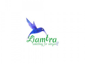 Liamliang Digital Avenue Pvt. Ltd. logo