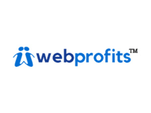 WebProfits - Web Development and SEO company in India logo
