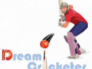 Dream Cricketer pvt. ltd. logo