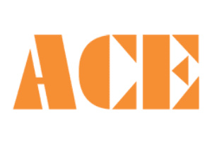 ACE - Action Construction Equipment Ltd.