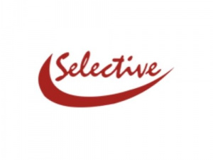 Selective Minerals and Color Industries Pvt. Ltd