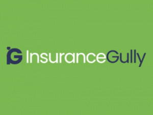 Insurance Gully logo
