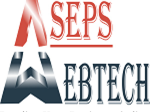 Best Website Designing Company In Delhi logo