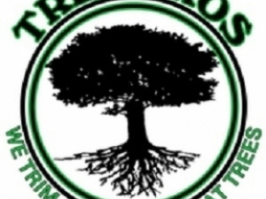Pensacola Tree Service LLC logo