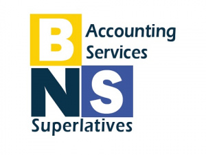 BNS Accounting Services logo