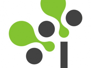 Info Stans Pvt Ltd
