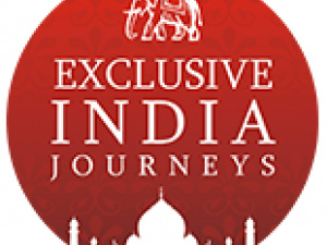 Exclusive India Journey