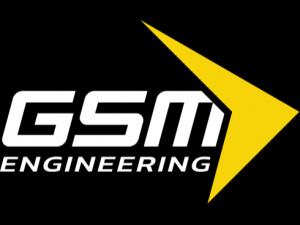 GSME LTD