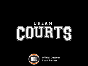 DreamCourts - Basketball system