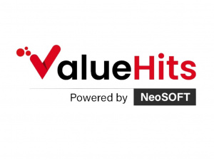 ValueHits - Digital Marketing Agency