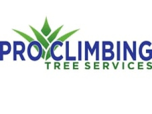 Pro Climbing Tree Services logo