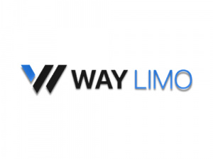 Way Limo service in Boston