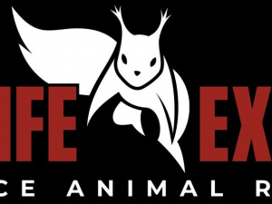 Triad Wildlife Experts